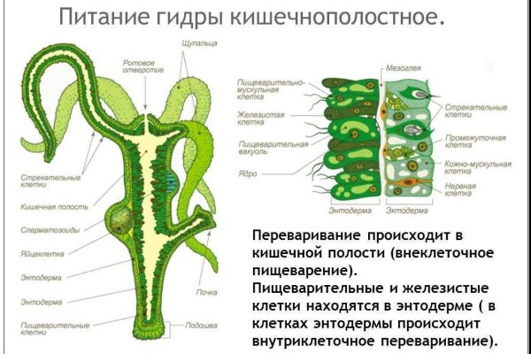 Как восстановить пароль кракен