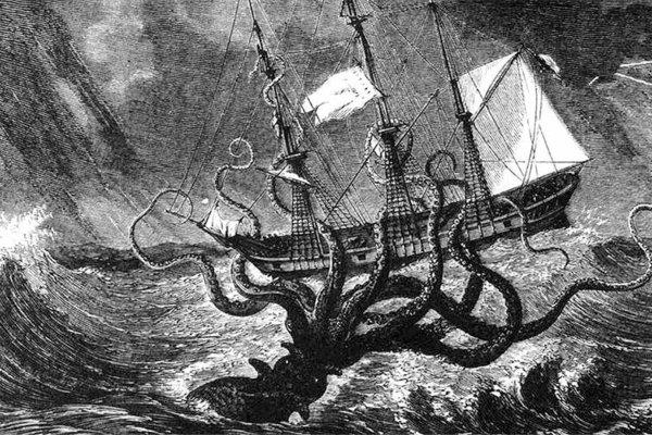 Kraken whitenet ссылка