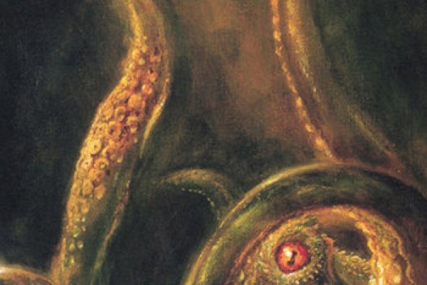 Kraken это современный маркетплейс